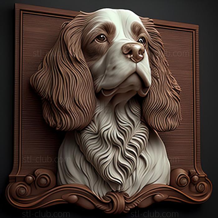 st French Spaniel dog